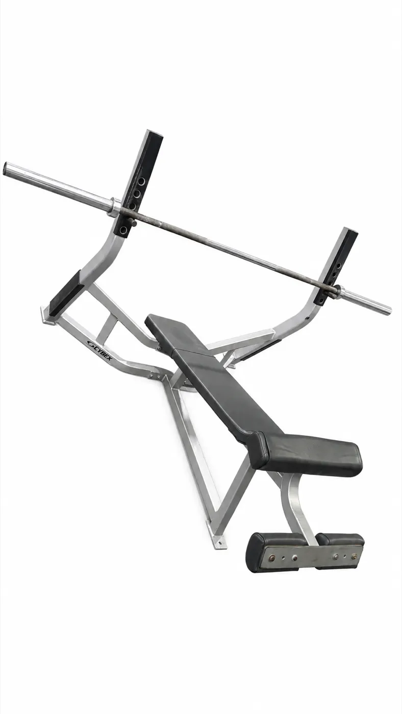 Cybex Decline Olympic Bench