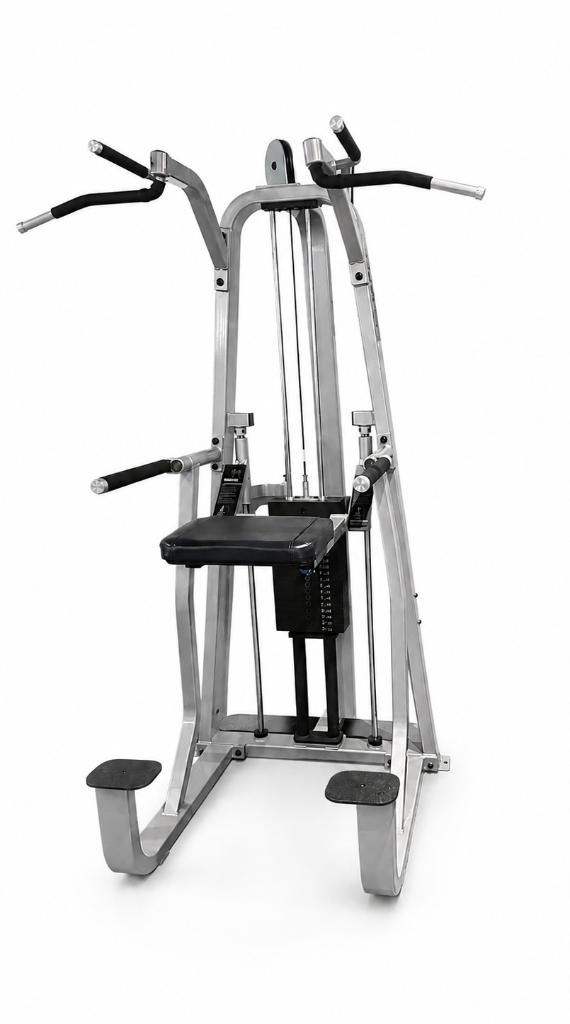 Precor Dip / Chin Assist 320